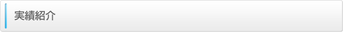 実績紹介